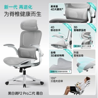 黑白调 p2pro人体工学椅电竞椅电脑椅久坐