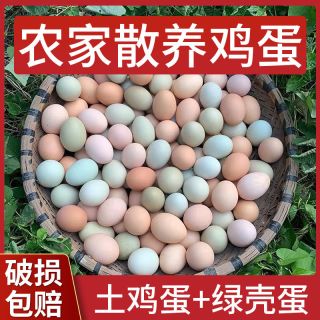 土鸡蛋乌鸡蛋混合装正宗农家散养土鸡蛋新鲜乌鸡蛋产地