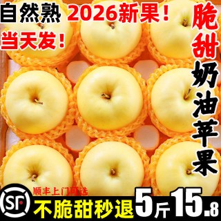 烟台 山东烟台奶油黄金富士苹果应当季新鲜水果整箱丑批发1平斤2026年A