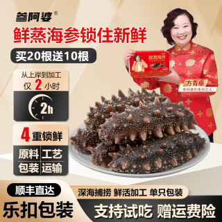 参阿婆 海参参阿婆鲜蒸即食海参买20送10头新鲜海参可配礼盒