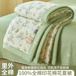 雅鹿 ·自由自在 100%里外全棉印花夏凉被被芯棉花被空调被宿舍单双人夏被
