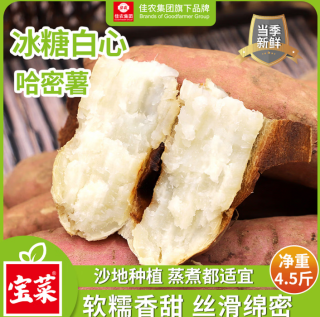 京百味 佳农河南哈密白薯果100g+冰糖白心红薯净重4.5斤（赠京东洗车）