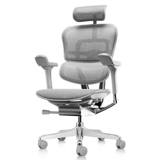Ergonor 金豪E 2代 人体工学电脑椅 银白色 Q4.0版