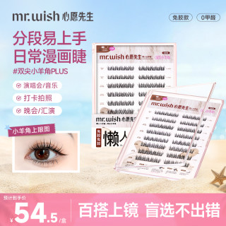 MR.WISH 免胶假睫毛百搭款气质新手单簇分段式