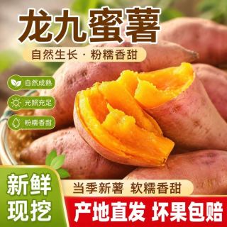 现挖西瓜红蜜薯 沙地蜜薯软糯香甜无丝无筋 新鲜黄心地瓜 沙地蜜薯中大果（3两-1斤）含箱5斤
