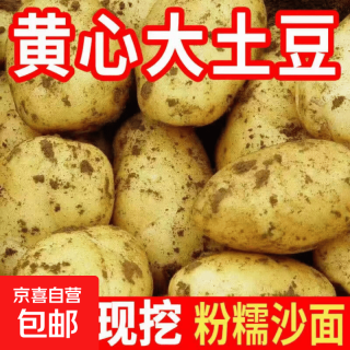 京喜 正宗山西黄皮黄心土豆当季马铃薯洋芋整箱包邮低脂健康新鲜蔬菜 带箱2斤装
