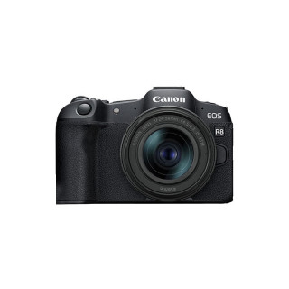 佳能 EOS R8 Vlog视频 6K超采样 全画幅微单相机（RF24-50）套机
