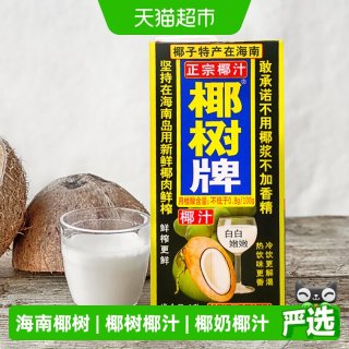 椰树 椰奶植物蛋白椰汁1000ml*2盒正宗椰树牌海南特产