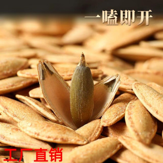 新货美人甲南瓜子椒盐味炒熟长颗粒南瓜子坚果小吃零食