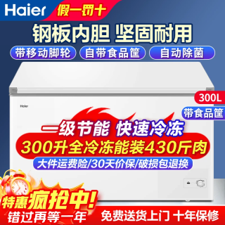 海尔 冰柜300升无需除霜一级能效家商用单温大冷柜 可冻420斤肉