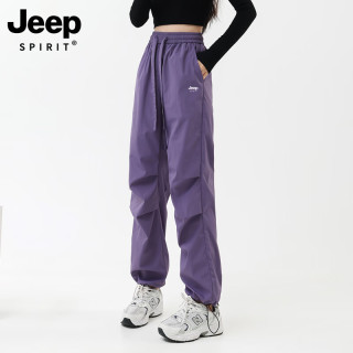 JEEP SPIRIT 吉普冲锋裤女春秋季户外防风防水登山运动工装长裤小个子男 女款-紫色 M