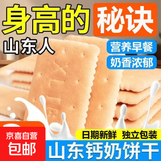 钙奶饼干零食独立包装充饥童年怀旧老式休闲零食 钙奶饼干500g（20包*分享装）