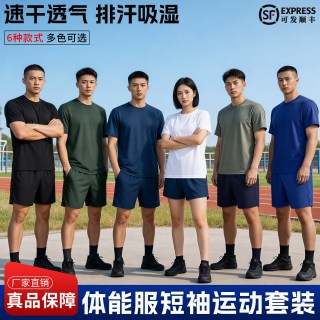 际华三一三三净版体能服短袖短裤训练套装男女夏速干透气运动健身T恤多色上衣