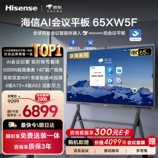 海信 65英寸AI会议平板办公电视商显大屏65XW5F