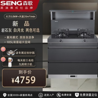 森歌 L1消毒柜款蒸烤炸家用集成灶一体灶新款油烟机燃气灶猛火灶一体机官方店 款 105L大空间 灰色