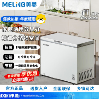 美菱 MeiLing/美菱 BC/Bd-300DT 冷柜