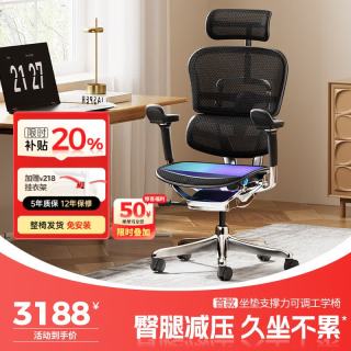 Ergonor 人体工学椅  黑色网
