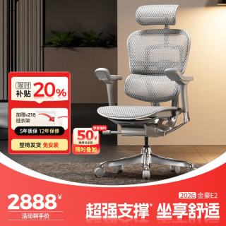 Ergonor 金豪E 2代 人体工学电脑椅 银白色 Q4.0版