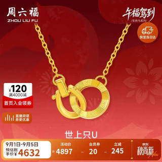 周六福 双环黄金项链足金吊坠手链生肖马本命年计价 约3.52g 套链40+5cm