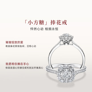 Darry Ring BELIEVE系列 18K金圆钻求婚钻戒 13号