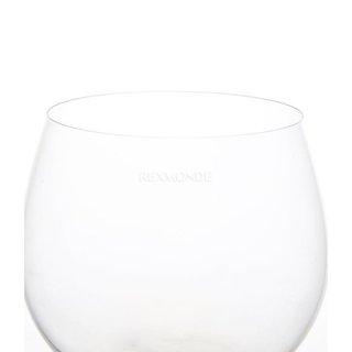 RIEDEL 透明玻璃 高脚红酒杯