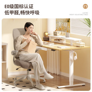 乐歌 电动升降桌电脑桌站立办公家用书桌 E2S/1m灰胡桃木色
