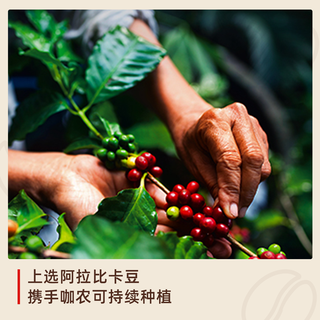 illy意利 中度烘焙阿拉比卡咖啡粉 250g*3罐