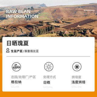 DGTOP 埃塞俄比亚瑰夏耶加雪菲 浅烘焙 阿拉比卡咖啡豆