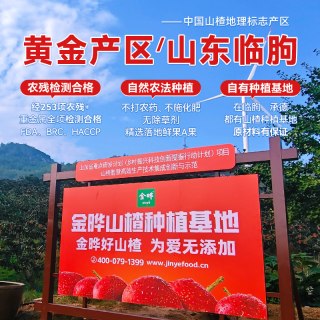 88VIP：金晔 益生元六物陈皮风味山楂条1kg独立小包装口感软糯原果打浆
