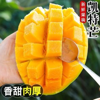 攀枝花 凯特大芒果 净重4.5斤