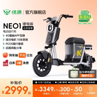 绿源 NEO1 新新国标电动自行车 智能高性价比电动车 成人通勤代步时尚可上牌长续航电自 到门店选颜色-4830锂电