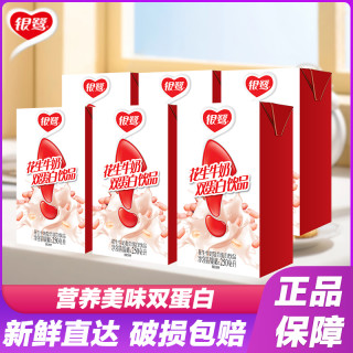 银鹭 新店冲量 银鹭花生牛奶饮品250ml*6盒营养早餐学生奶含乳饮料批发