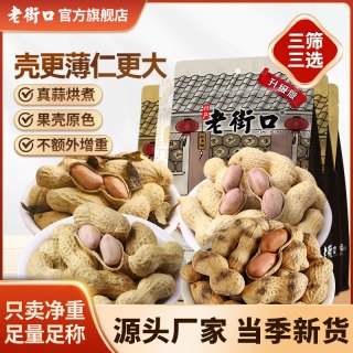 老街口 蒜香味花生水煮花生米下酒菜休闲解馋零食坚果充饥炒货新货