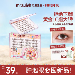 MR.WISH 免胶假睫毛微斜飞美睫自然不压眼QJ