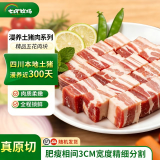七环牧场 漫养土猪 带皮五花肉块 带皮五花肉块1kg*4
