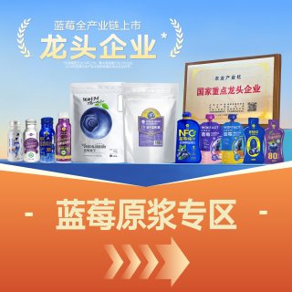 沃田蓝 莓原浆蓝莓汁500ml*盒