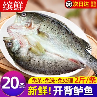 缤鲜 开背新鲜 海鲈鱼