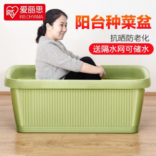 爱丽思 种菜盆蔬菜种植箱塑料特大号阳台种菜专用箱神器(50cm长)绿色 送隔网