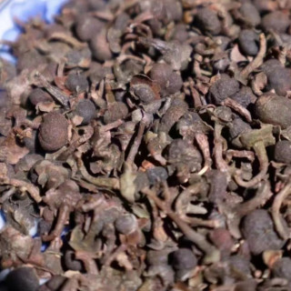 福鼎白茶2016年荒野白茶籽高山日晒花香茶籽白茶果