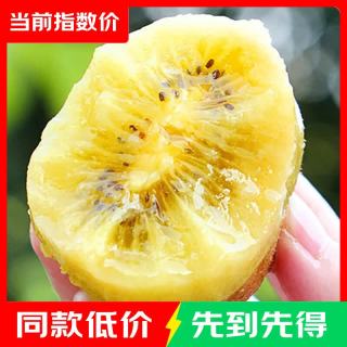 淳果一木 黄心猕猴桃 黄金奇异果金果猕猴桃 新鲜水果 生鲜 水果 12个装单果 50-70克+