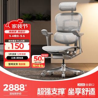 Ergonor 金豪E 2代 人体工学电脑椅 银白色 Q4.0版