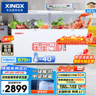 星星 601L商用冰柜 大容量冰箱冷藏冷冻转换柜  BD/BC-628GE