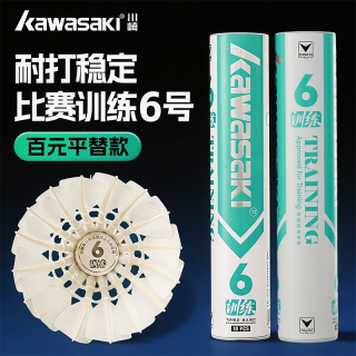 KAWASAKI 10号 羽毛球 训练级 6鹅毛