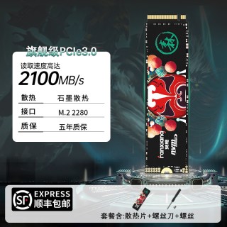 梵想 S500 NVMe M.2 固态硬盘（PCI-E3.0）