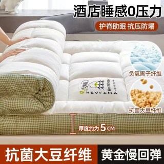 伊心爱 加厚床垫软垫褥子家用卧室租房专用学生宿舍单人垫被床褥垫榻榻米