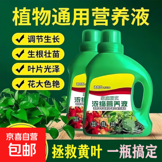 京喜 植物营养液通用型家用养花卉绿萝水培绿植多肉盆栽发财树液体肥料 升级款500ml*1瓶