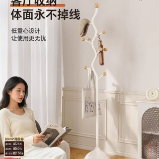 帅仕落地衣帽架2026新款卧室轻奢家用玄关穿衣镜挂衣架包包置物架