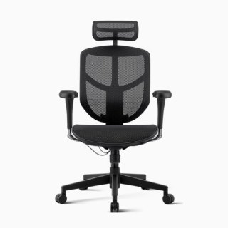 Ergonor 保友Ergonor金卓b 2代电脑椅人体工学椅家用舒适电竞办公座椅子