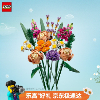 乐高 Botanical Collection植物收藏系列 10280 花束