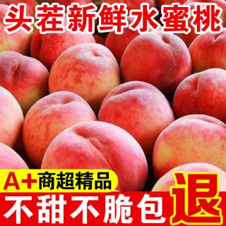 喜多鲜 正宗水蜜桃新鲜桃子脆甜毛桃整箱脆桃现摘应季孕妇水果